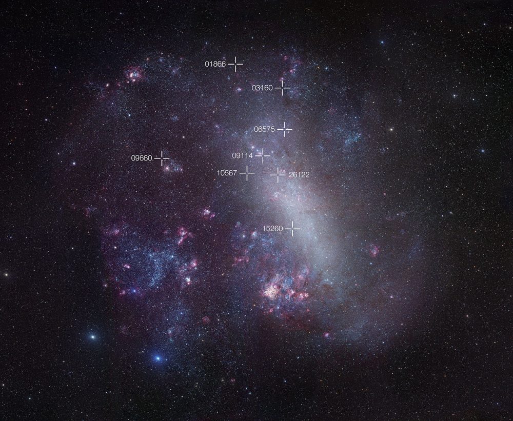 mensa constellation constellation guide