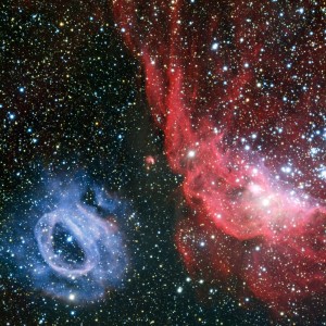 ngc 2014,ngc 2020,lmc