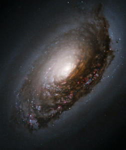 messier 64,m64,spiral galaxy