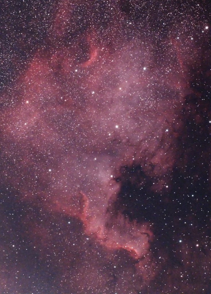 NGC 7000 north america nebula,ngc 7000