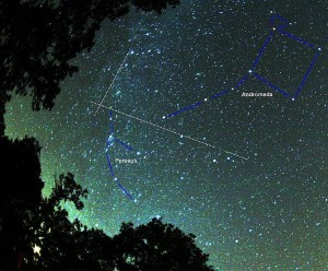 perseids