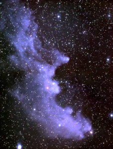 withhead nebula,reflection nebula,eridanus