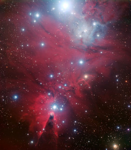 christmas tree cluster,cone nebula