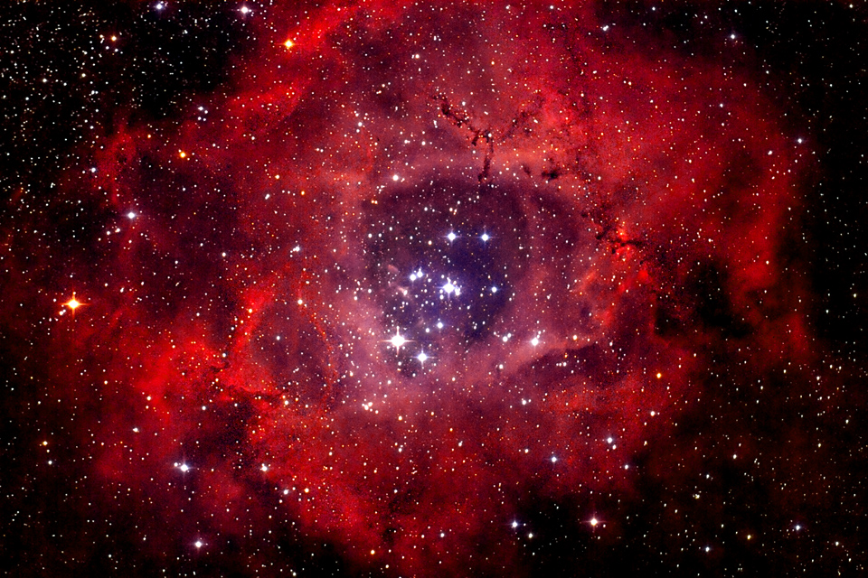 Picture of the Star Cluster NGC 2244 and the surrounding Rosette Nebula Telescope: 800mm F4 GSO Newton Imager: Modified Canon EOS 550D (IR Block removed) 3 RGB Frames stacked with 800 secs each Postprocessing with PixInsight / Photoshop. Image: Andreas Fink