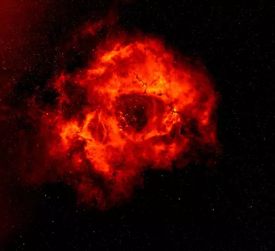 rosette nebula,skull nebula