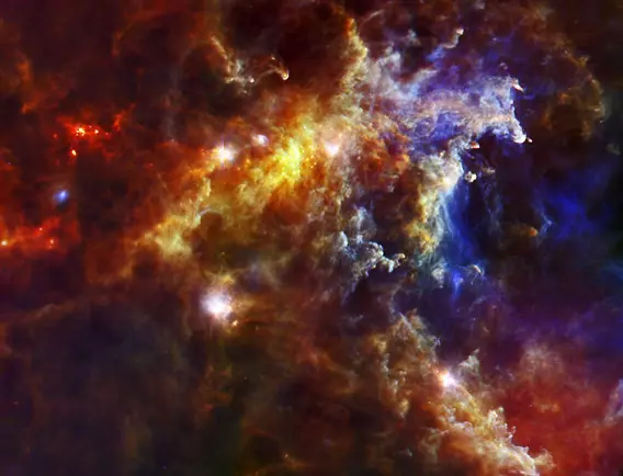 rosette nebula stars