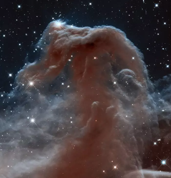 horsehead nebula hubble