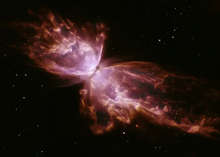 butterfly nebula