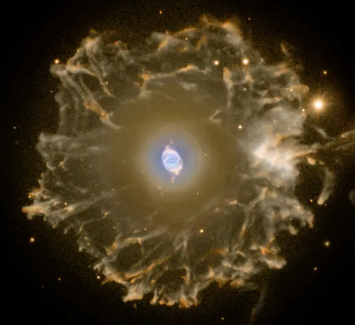 the extended halo of the cat's eye nebula,ngc 6543 halo