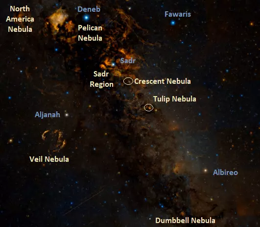 nebulae in cygnus