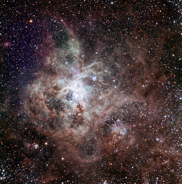 tarantula nebula,starburst nebula