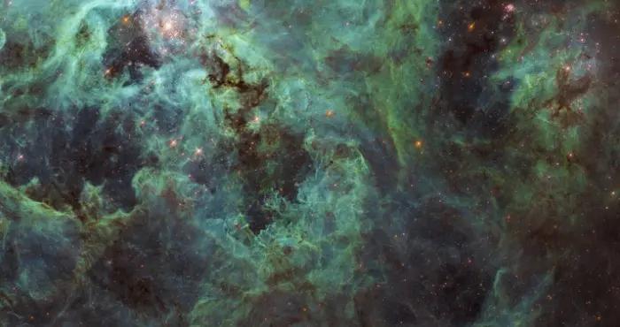 Tarantula Nebula Hubble Space Telescope