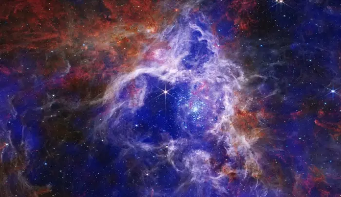 tarantula nebula x-ray infrared composite