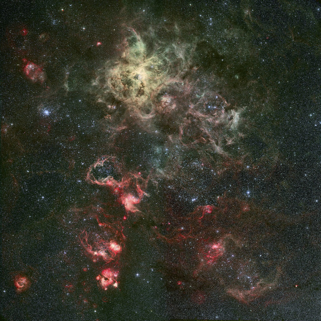 tarantula nebula,ngc 2070
