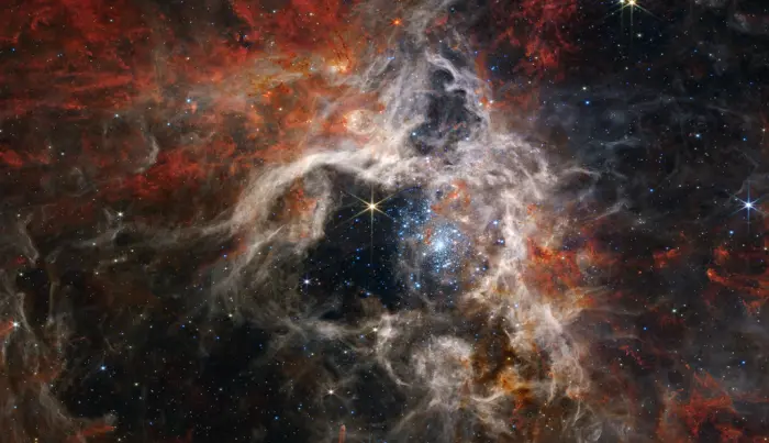 tarantula nebula james webb space telescope