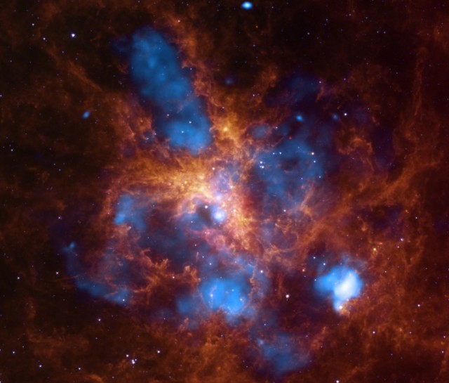 The star-forming region, 30 Doradus, is one of the largest located close to the Milky Way and is found in the neighboring galaxy Large Magellanic Cloud. About 2,400 massive stars in the center of 30 Doradus, also known as the Tarantula Nebula, are producing intense radiation and powerful winds as they blow off material. Multimillion-degree gas detected in X-rays (blue) by the Chandra X-ray Observatory comes from shock fronts -- similar to sonic booms --formed by these stellar winds and by supernova explosions. This hot gas carves out gigantic bubbles in the surrounding cooler gas and dust shown here in infrared emission from the Spitzer Space Telescope (orange). The Tarantula Nebula is expanding, and researchers have recently published two studies that attempt to determine what drives this growth. The most recent study concluded that the evolution and the large-scale structure of 30 Doradus is determined by the bubbles of hot, X-ray bright gas confined by surrounding gas, and that pressure from radiation generated by massive stars does not currently play an important role in shaping the overall structure. A study published earlier in 2011 came to the opposite conclusion and argued that radiation pressure is more important than pressure from hot gas in driving the evolution of 30 Doradus, especially in the central regions near the massive stars. Image: X-ray: NASA/CXC/PSU/L. Townsley et al.; Infrared: NASA/JPL/PSU/L. Townsley et al.