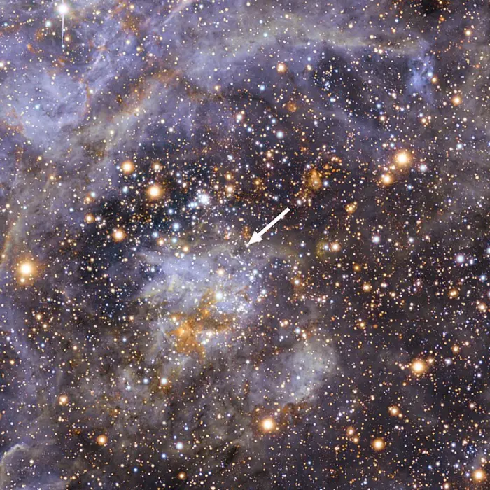 ngc 2060,tarantula nebula