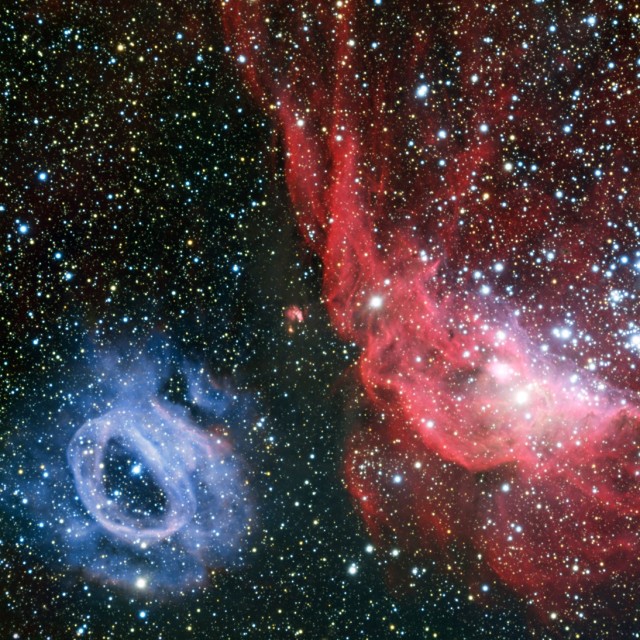ngc 2014,ngc 2020,lmc