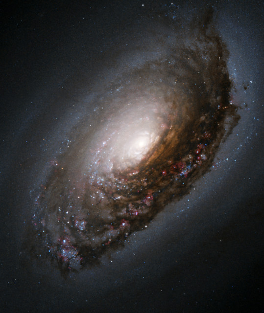 messier 64,m64,spiral galaxy