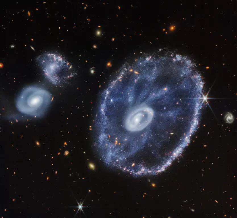 cartwheel galaxy jwst nircam