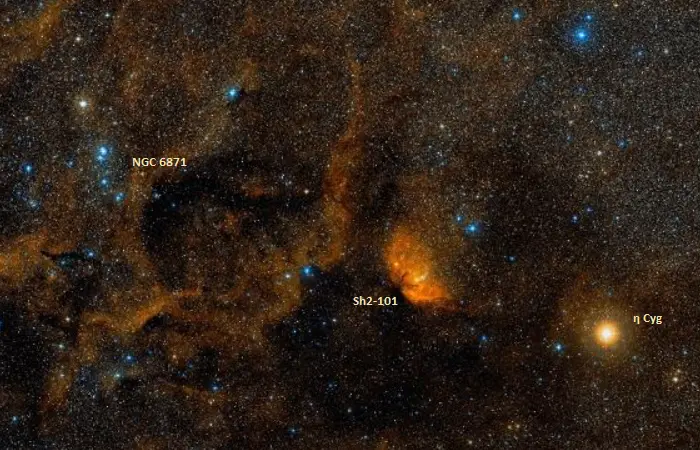 how to find the tulip nebula