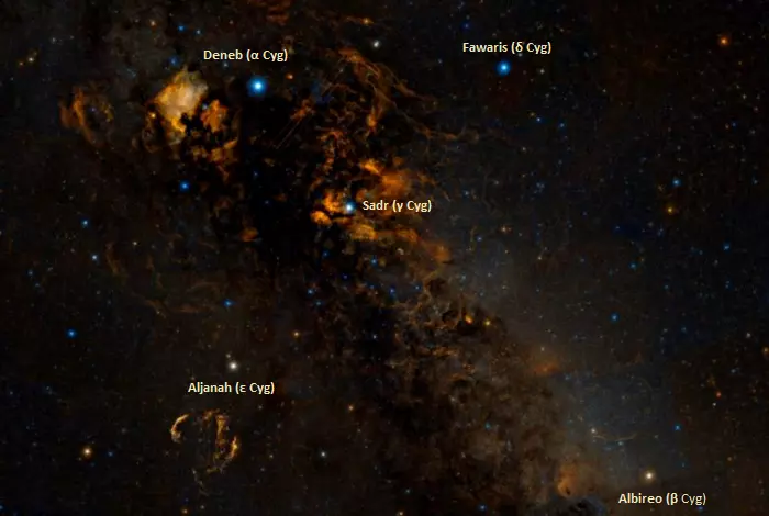 brightest stars in cygnus,northern cross,deneb,albireo,aljanah,fawaris,sadr
