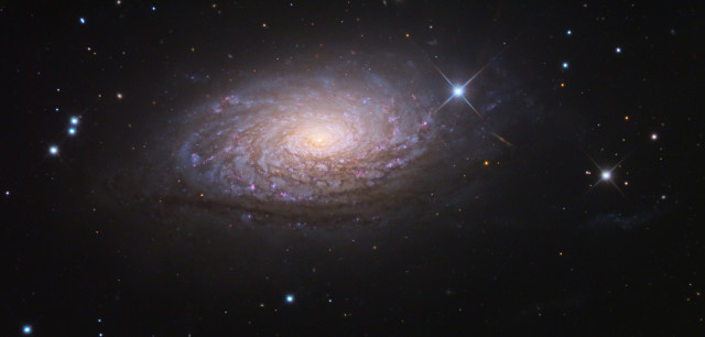 messier 63,m63,galaktyka spiralna,spirala kłaczkowata