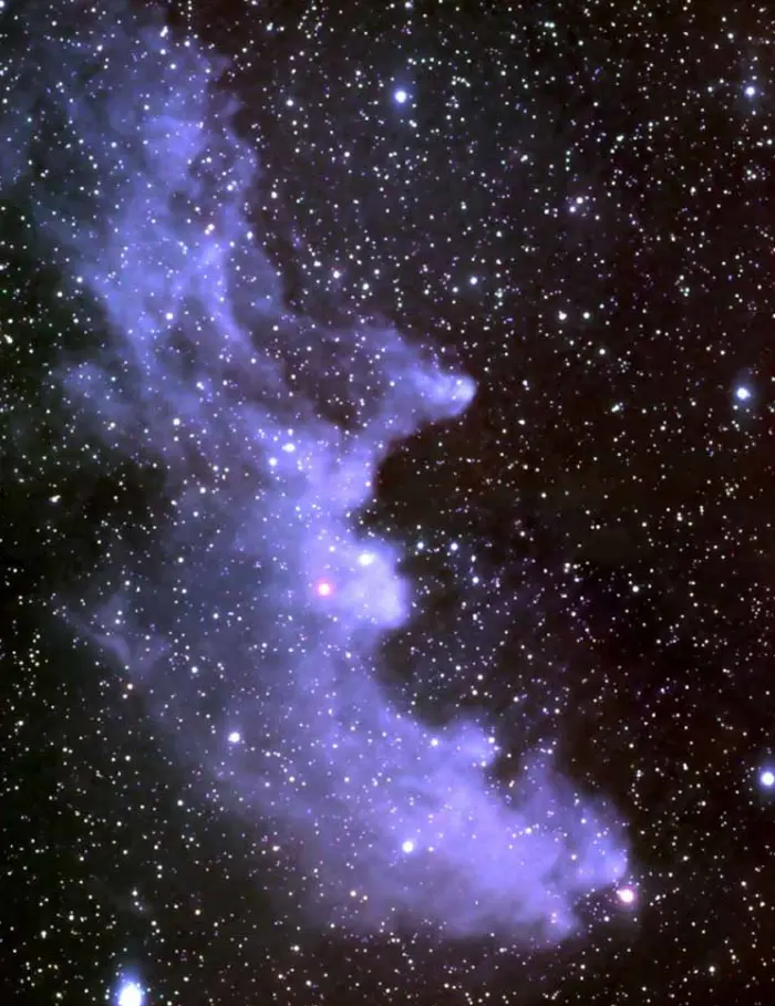 witch head nebula,ic 2118