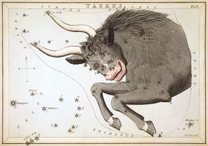 aldebaran,taurus constellation,bull's eye,brightest star in taurus