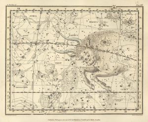 Orion and Taurus