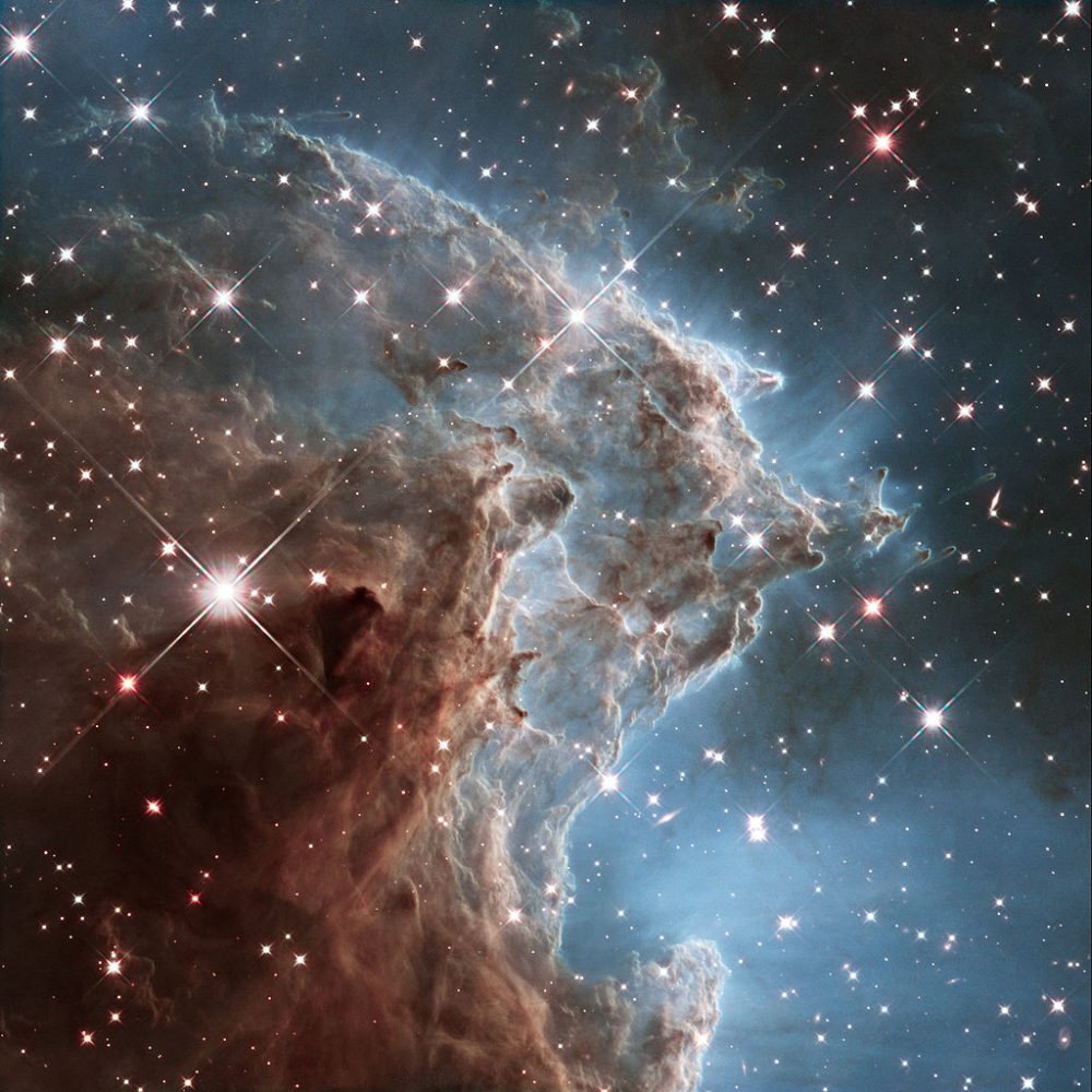 Monkey Head Nebula Constellation Guide