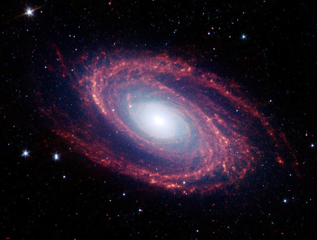 messier 81 infrared