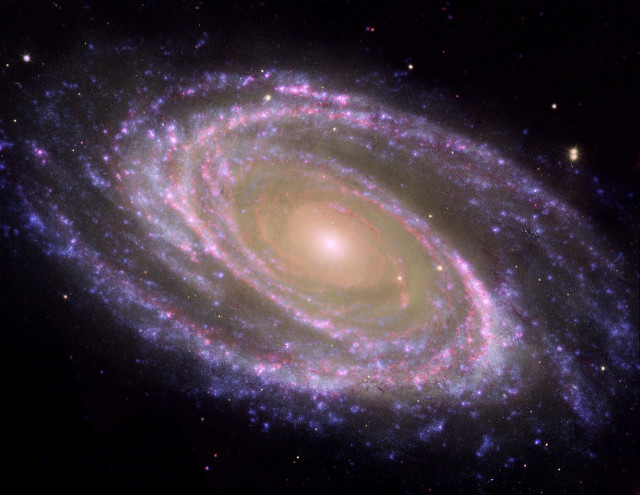 m81,bode's galaxy,starburst galaxy