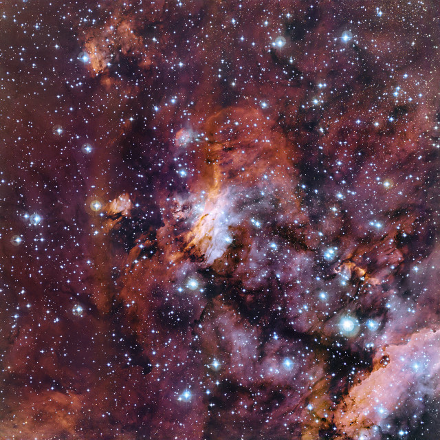 prawn nebula,gum 56,ic 4628,stellar nursery
