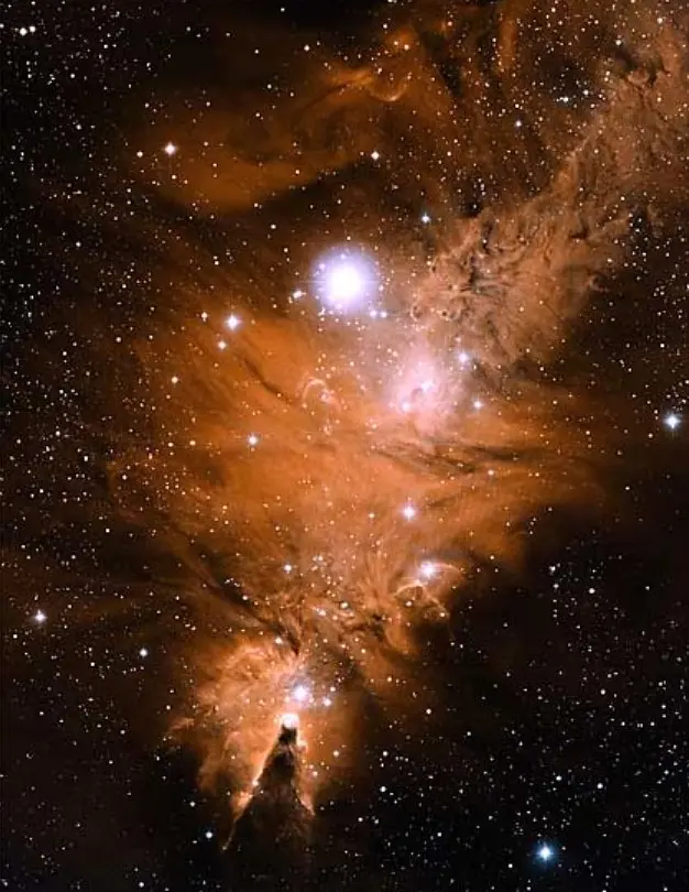 christmas tree cluster,cone nebula,ngc 2264
