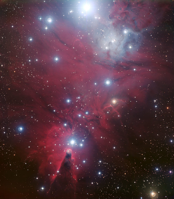 fox fur nebula,christmas tree cluster,cone nebula