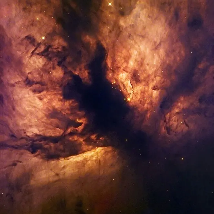 flame nebula,ngc 2024