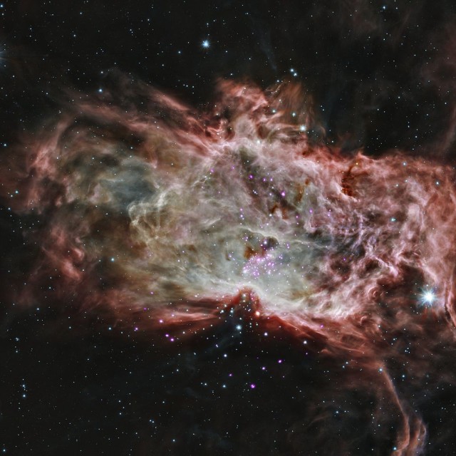 flame nebula cluster,ngc 2024