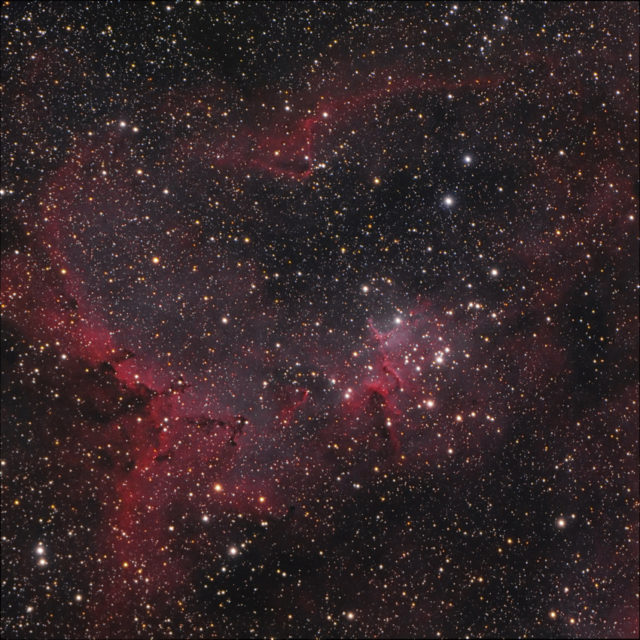 heart nebula cluster,open cluster