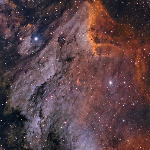 pelican nebula, ic 5070