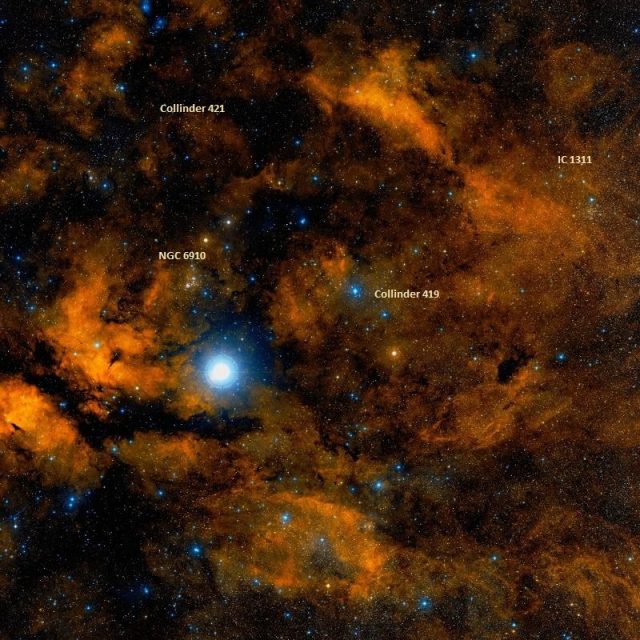 Sadr Region, NGC 6910, IC 1311