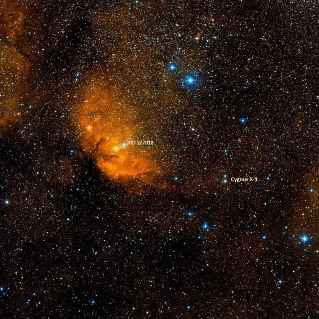tulip nebula,cygnus x-1