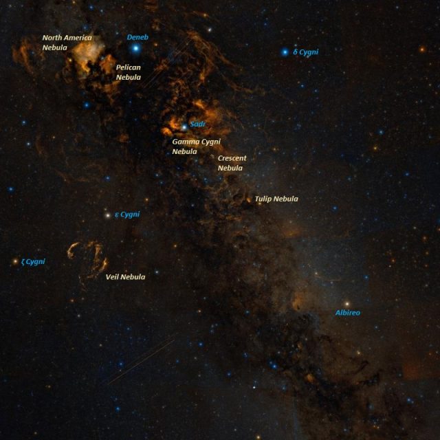 north america nebula,pelican nebula,gamma cygni nebula,crescent nebula,tulip nebula,veil nebula