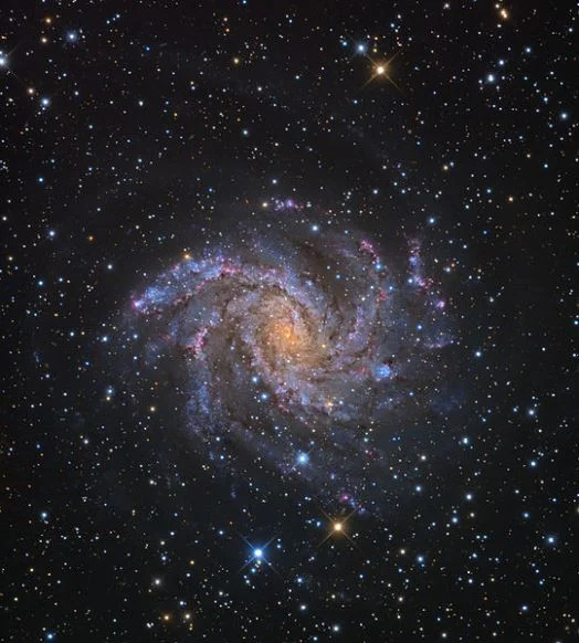 Fireworks Galaxy, NGC 6946