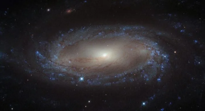 spiral galaxy ic 2560