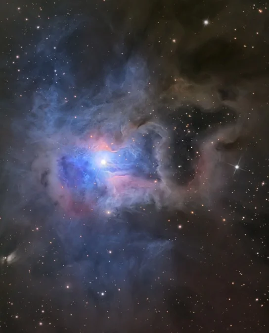 Iris Nebula,NGC 7023