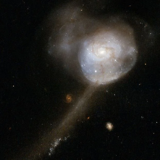 spiral galaxy in the constellation cetus