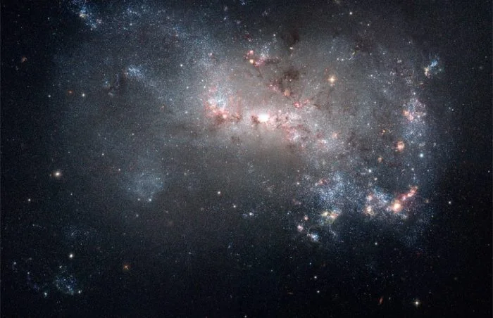 starburst galaxy in canes venatici