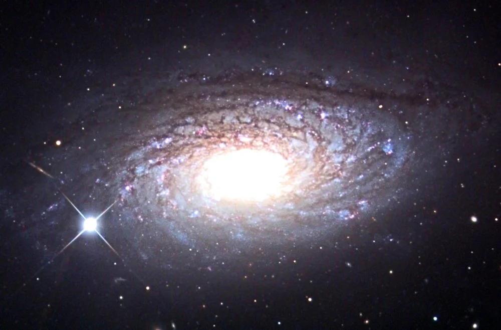 sunflower galaxy,messier 63