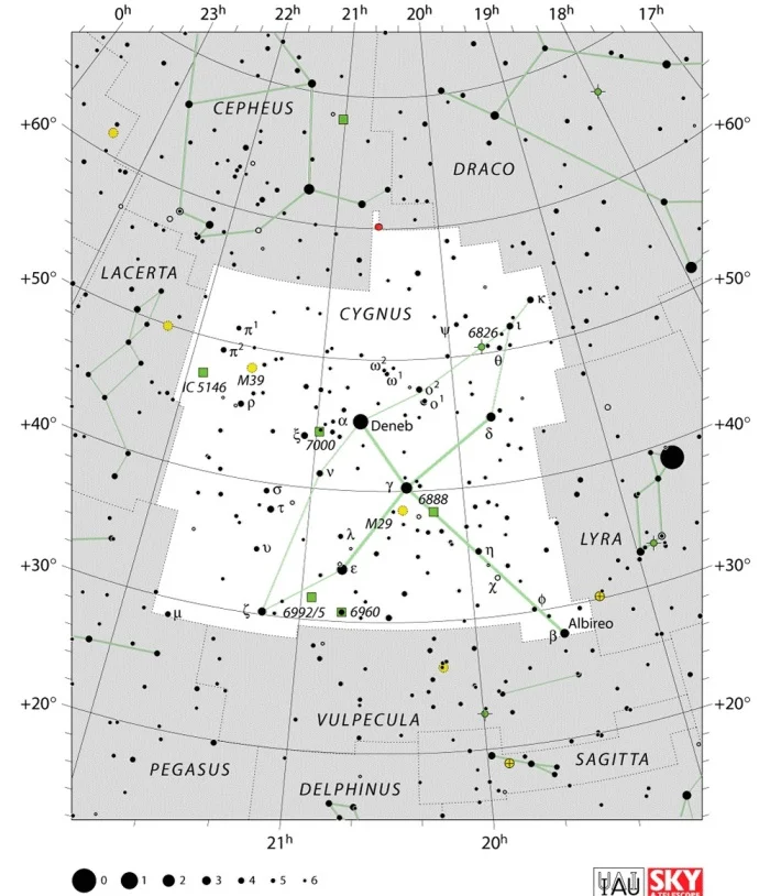 Cygnus constellation,cygnus star map,cygnus star chart,swan constellation